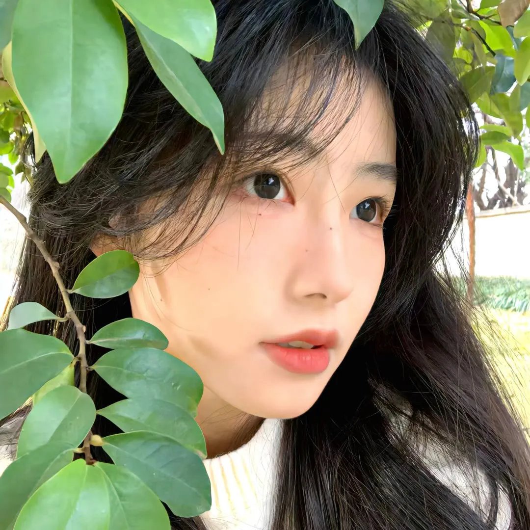 萝球社第二季